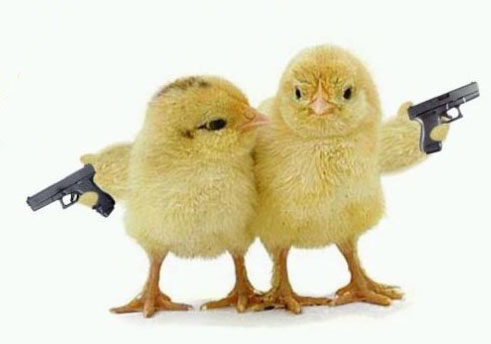 Chicks With Guns October 27 2011 1224 PM Subscribe